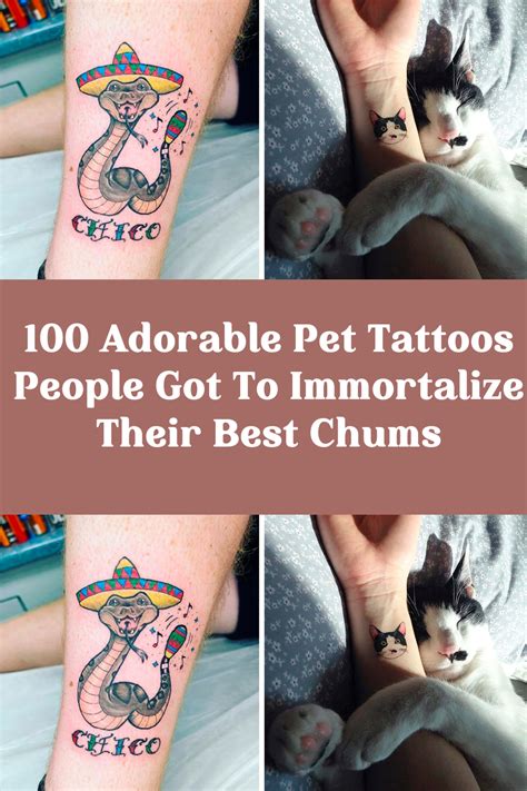 100 Adorable Pet Tattoos People Got To Immortalize Their Best Chums 100 Adorable Pet Tattoos People Got To Immortalize Their Best Chums