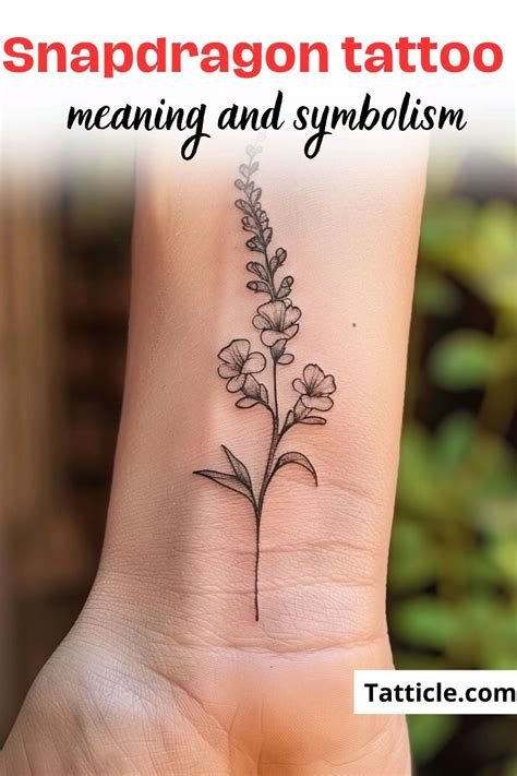 33 Snapdragon Tattoo Ideas Meaning 33 Snapdragon Tattoo Ideas Meaning