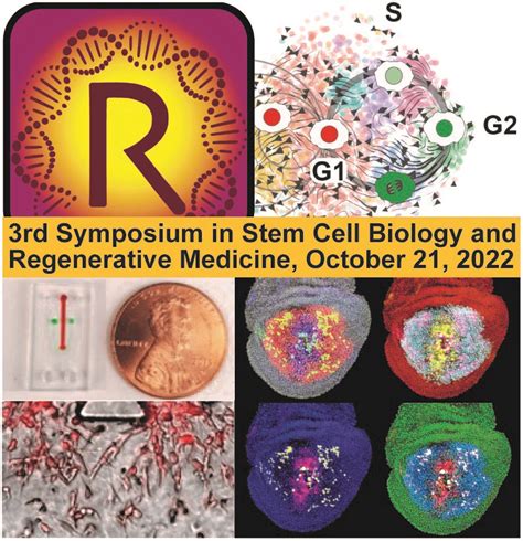 Asu 5Th Regenerative Medecine Symposium: Advances In Therapies