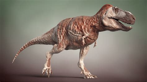 Behind The Scenes Tyrannosaurus Rex Life Reconstruction Blendernation