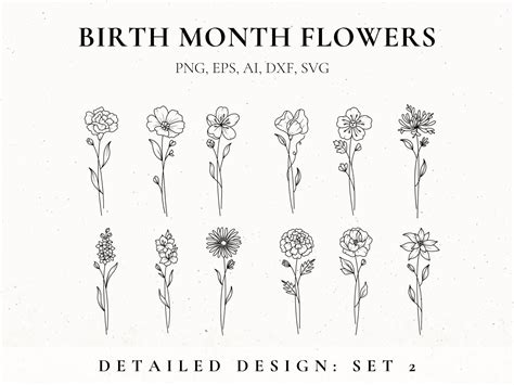 Birth Month Flower Svg Bundle Fine Line Flower Flower Stencil Floral