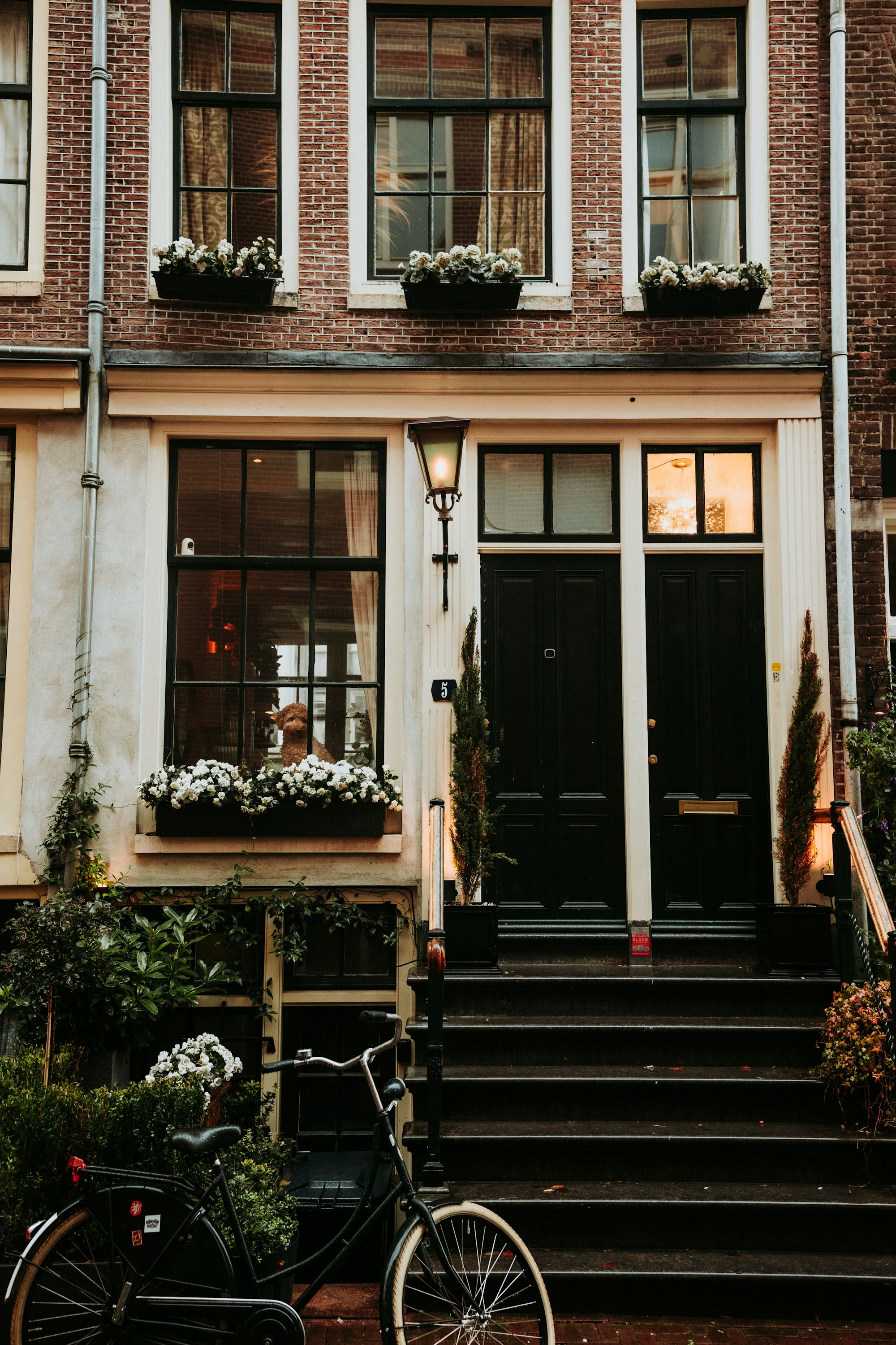 The Bonnie Blue Scandal: 5 Shocking Revelations