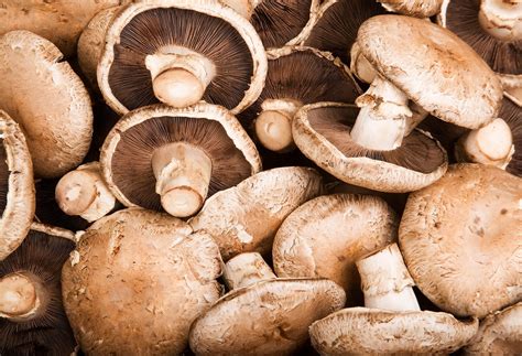 A Forager's Dilemma: Can Be Mushroom Eat Raw Safely?
