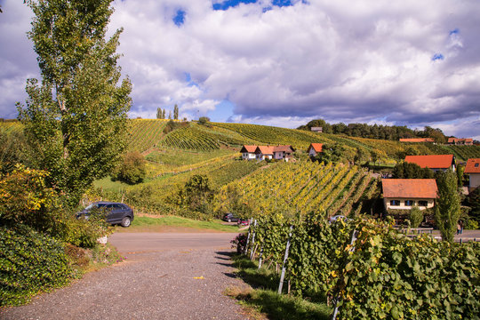 Exploring Images Browse 1 162 583 Stock Photos Vectors And Video