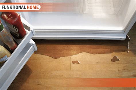 5 Tips to Fix a Leaky Fridge