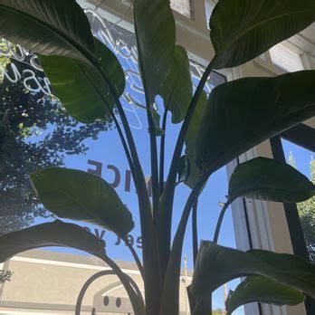 Haruki Lash Studio Updated October 2024 169 Photos Amp 56 Reviews