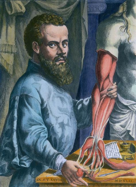Height Andreas Vesalius: Estimated Height Around 168 Cm