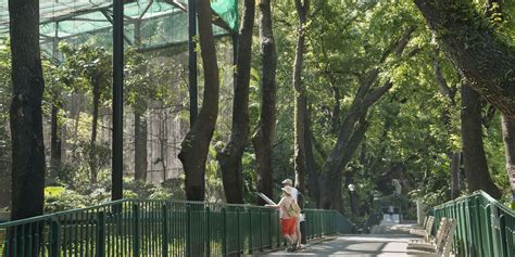 Hong Kong Zoological And Botanical Gardens Unveiling The Art Of Nature In Hong Kong