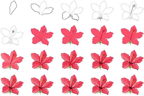 How To Draw A Hawaiian Flower A Step By Step Guide Hawaiian Flower