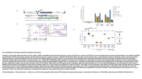 Origins Of Inducible Vs Uninducible: Tracing Their Scientific History