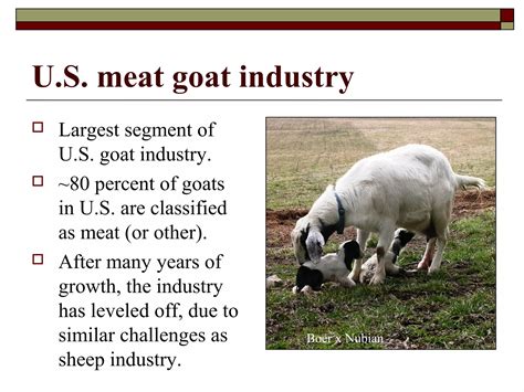 Mastering Industry Segment Goat: Niche Market Leadership