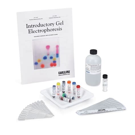 Introductory Gel Electrophoresis Kit Introductory Gel Electrophoresis Kit