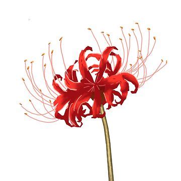 Japanese Flower Of Death Japanese Higanbana Anime Death Flower