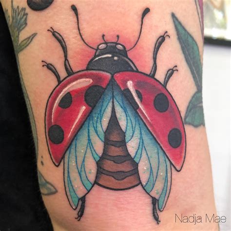 Ladybug Ornamental By Sahanatattoos Sahana Would Love To Do More Stuff Like This Plz Ladybug Bugtattoo Caymangirls Caymantattoos Caymantattooshop Bluedragontattoos345 Sahanatattoos