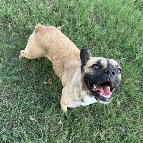 Lawrence French Nh: Your Guide To Local Businesses And Resources