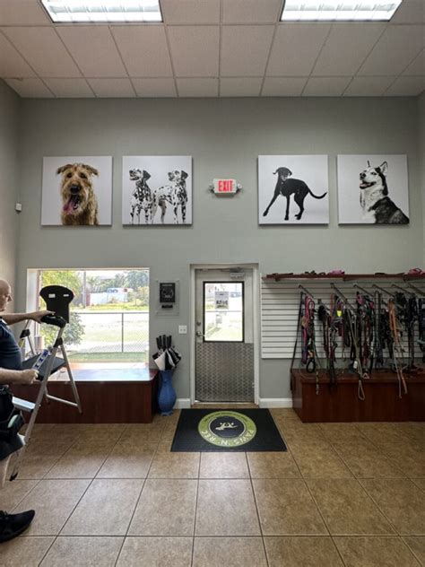 Lobby Decoration Contest Amp Fundraiser With Agoldphoto Paws Amp 39 N Amp 39 Rec Lobby Decoration Contest Amp Fundraiser With Agoldphoto Paws Amp 39 N Amp 39 Rec