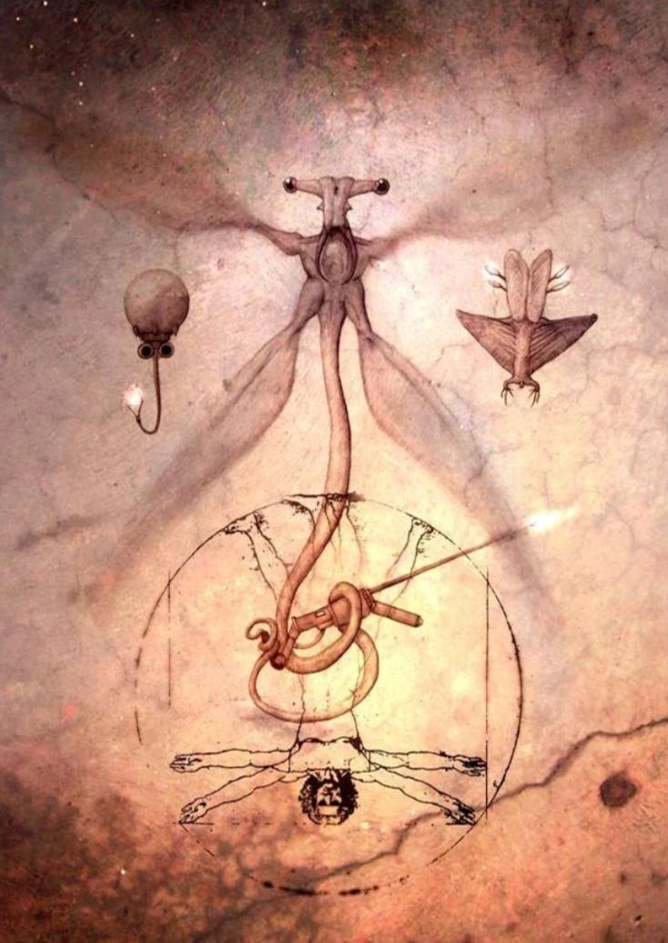 Number 4 Where Is Number 4 Do You Think He Amp 39 S Made A Run F Flickr