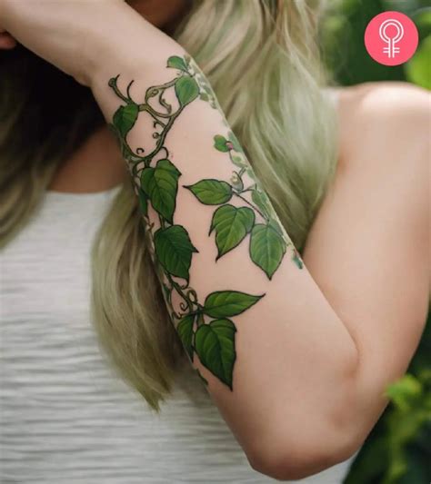 Poison Ivy Vine Tattoo Poison Ivy Vine Tattoo