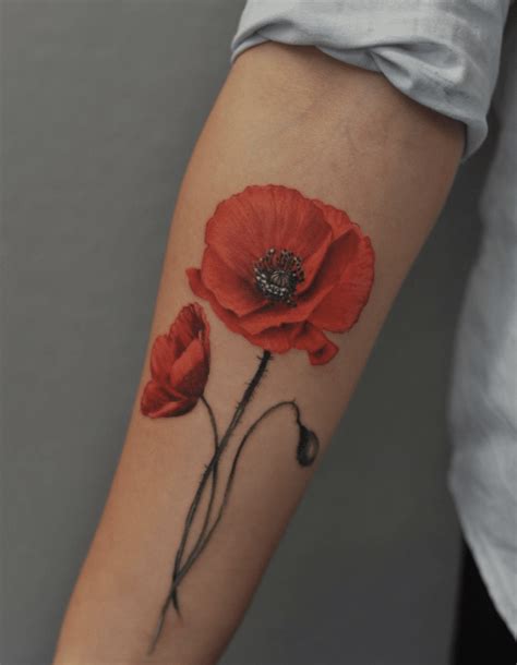 Poppy Flower Tattoo Designs Poppy Flower Tattoo Designs
