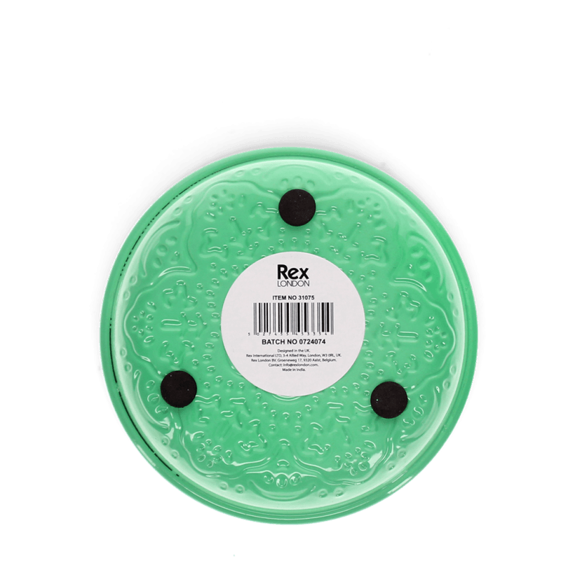 Raven S Secrets Unveiled Enamel Trinket Dish Marianne Goodell