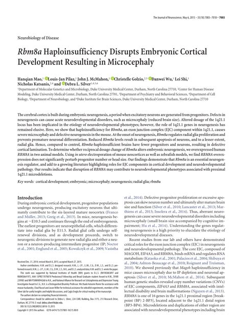 Rbm8a Haploinsufficiency Disrupts Embryonic Cortical Development Resulting In Microcephaly Journal Of Neuroscience