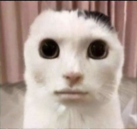 Sethpeterson Adl Kullan C N N Quick Saves Panosundaki Pin 2025 Sethpeterson Adl Kullan C N N Quick Saves Panosundaki Pin 2025