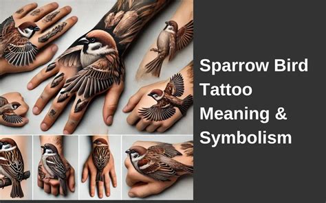 Sparrow Bird Tattoo Meaning And Symbolism Beauty Inspo