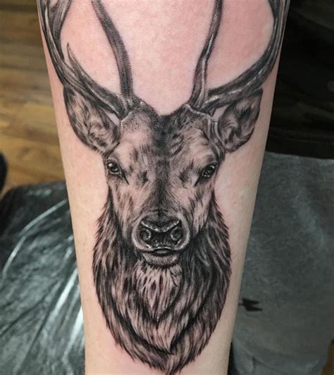 Stag Outline Tattoos
