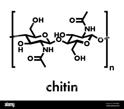 Understanding Structure Chitin Icon: A Beginner's Guide