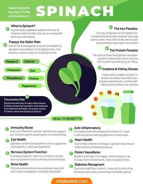 The 12 Spinach Benefits Heart Muscle Bones Skin Vitalscend The 12 Spinach Benefits Heart Muscle Bones Skin Vitalscend
