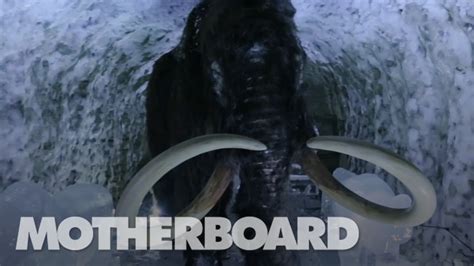 The Mission To Resurrect The Woolly Mammoth Youtube