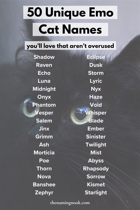 The Ultimate List Of Emo Cat Names Cute Cat Names Unique Cat Names Cute Kitten Names In 2024 The Ultimate List Of Emo Cat Names Cute Cat Names Unique Cat Names Cute Kitten Names In 2024