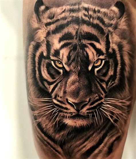 Tiger Face Tattoo Designs