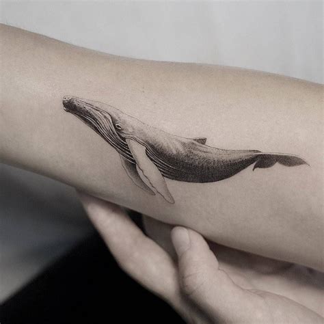 Traditional White Whale Tattoo