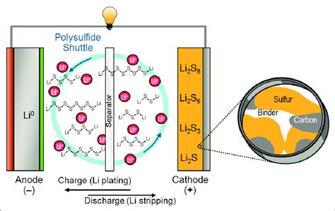 Transition Metal Phosphides The Rising Star Of Lithium Sulfur Battery Cathode Host Liu 2024 Small Wiley Online Library Transition Metal Phosphides The Rising Star Of Lithium Sulfur Battery Cathode Host Liu 2024 Small Wiley Online Library