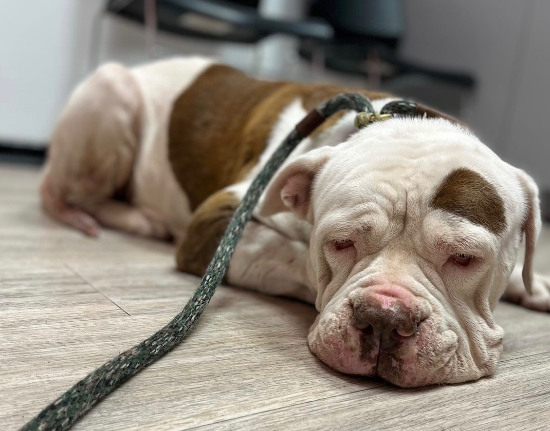 The Trinity Reel Scandal Unveiled